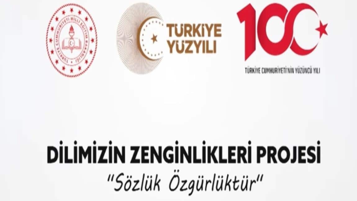 DİLİMİZİN ZENGİNLİKLERİ PROJE ÇALIŞMALARIMIZ. 